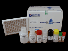 牛羊布氏桿菌抗體檢測試劑盒