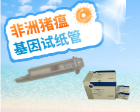 非瘟基因檢測新產(chǎn)品